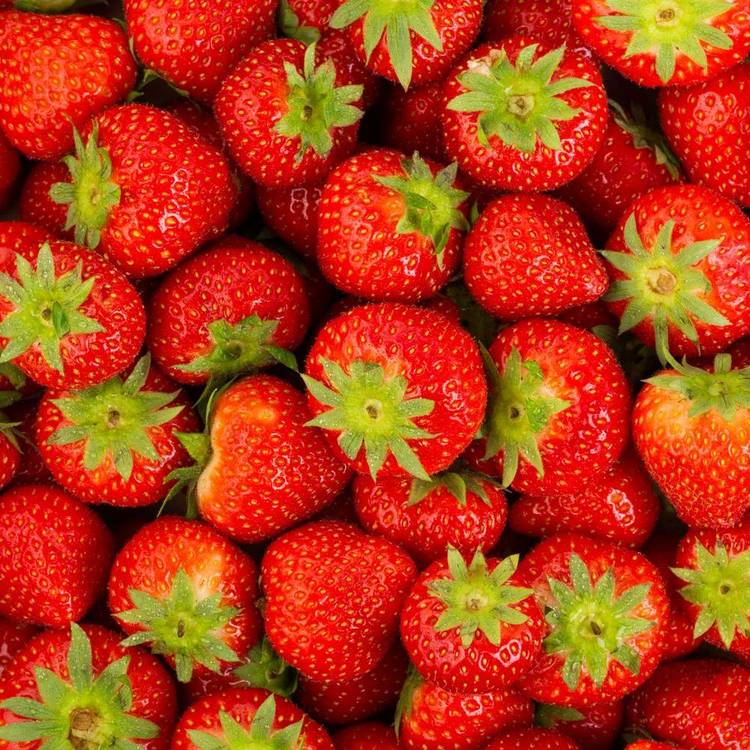 La Fraise à confiture en colis