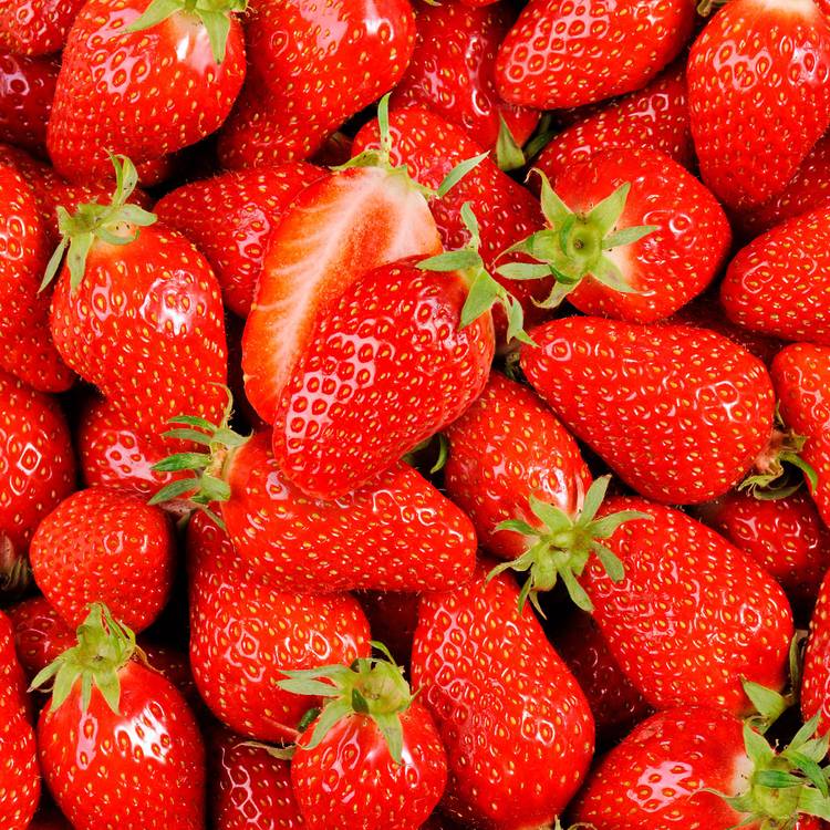 La Fraise gariguette