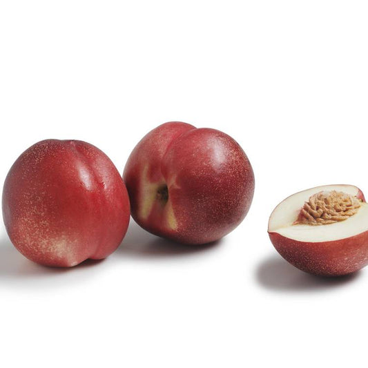 La Nectarine blanche