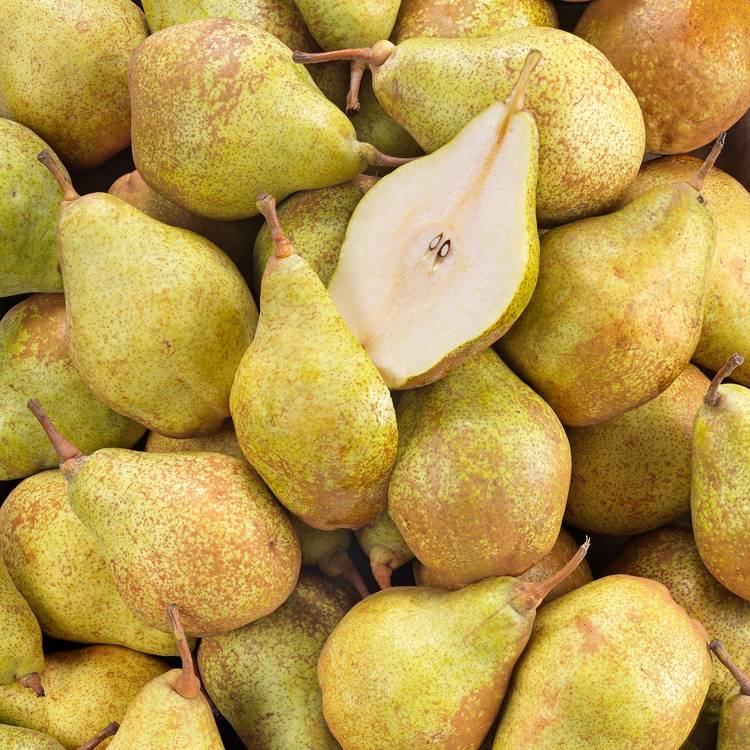 La Poire xenia BIO