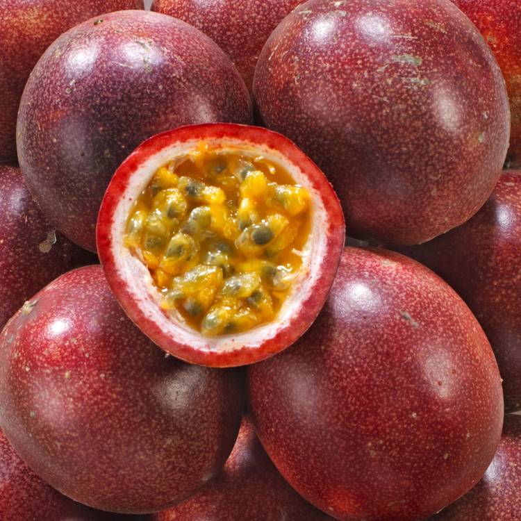 Le Fruit de la passion