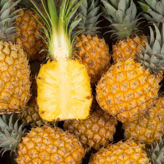 L'Ananas victoria