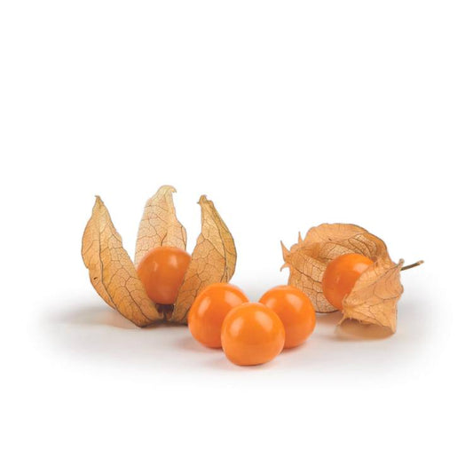 Le Physalis