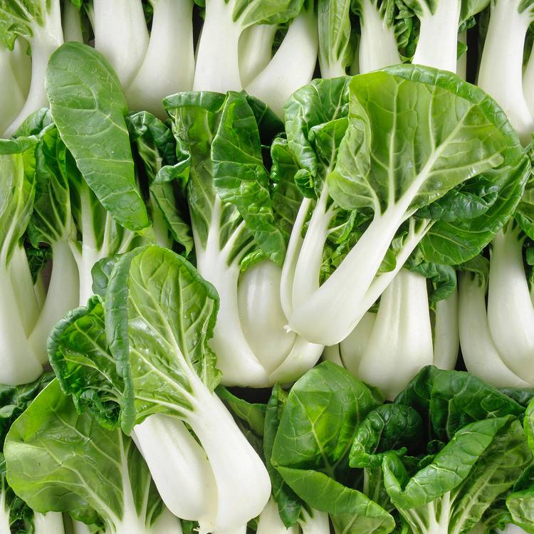 Le Spoon pak choi