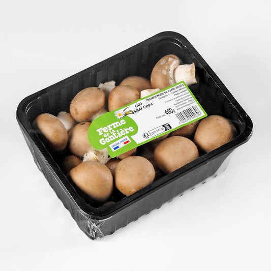 Le Champignon brun