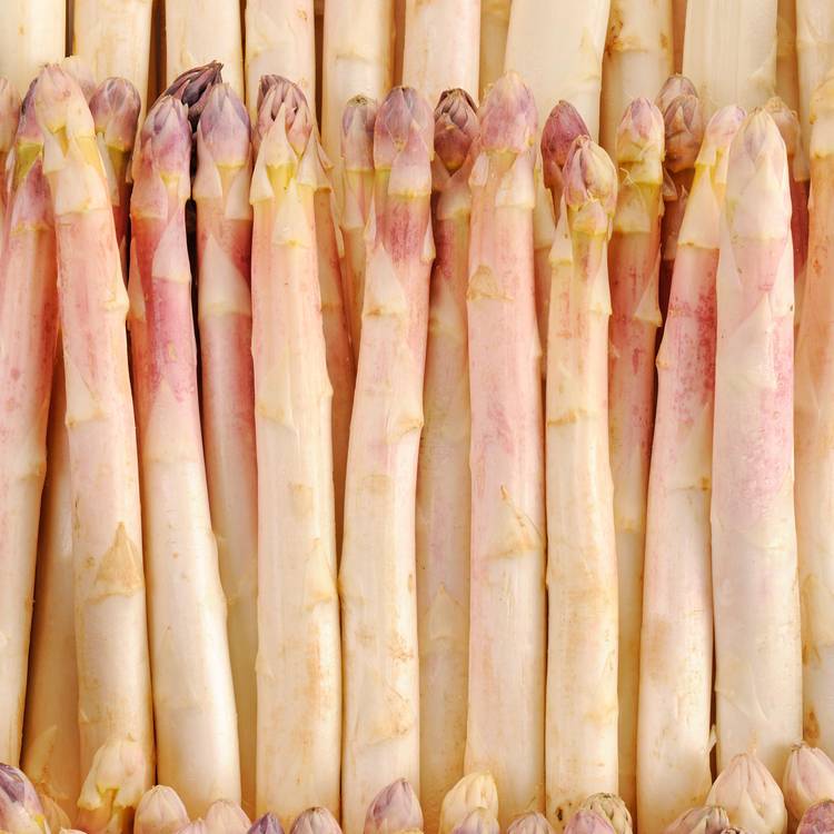 L'Asperge blanche violette