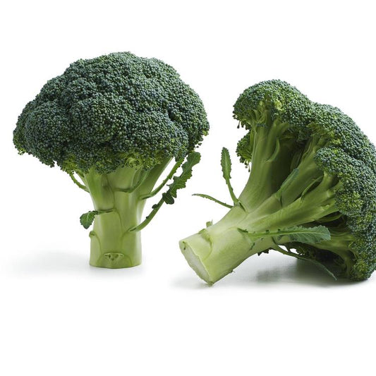 Le Brocoli