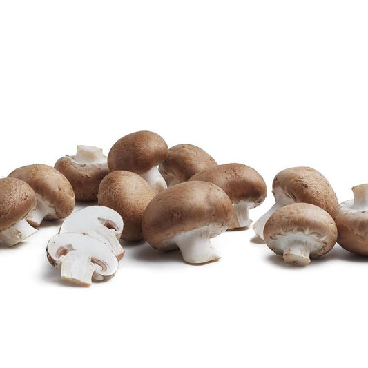 Le Champignon brun BIO