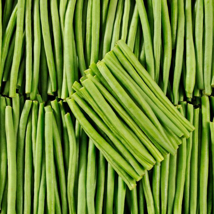 Le Haricot vert très fin