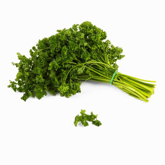 Le Persil frisé