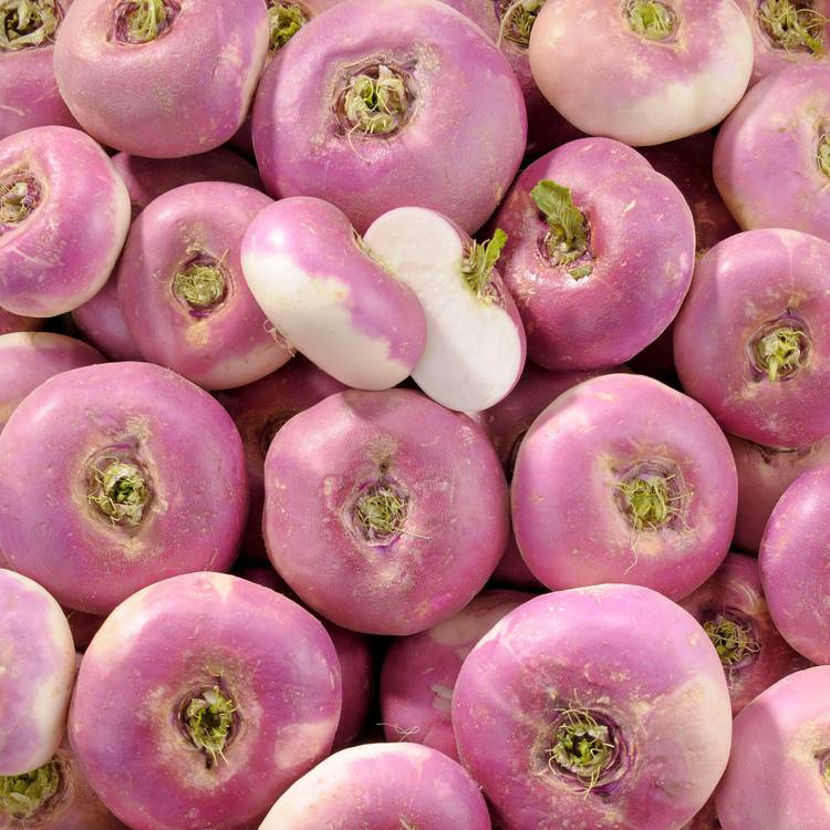 La Rave violette