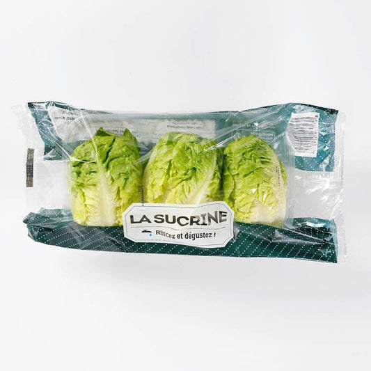 Les Têtes de salade sucrine