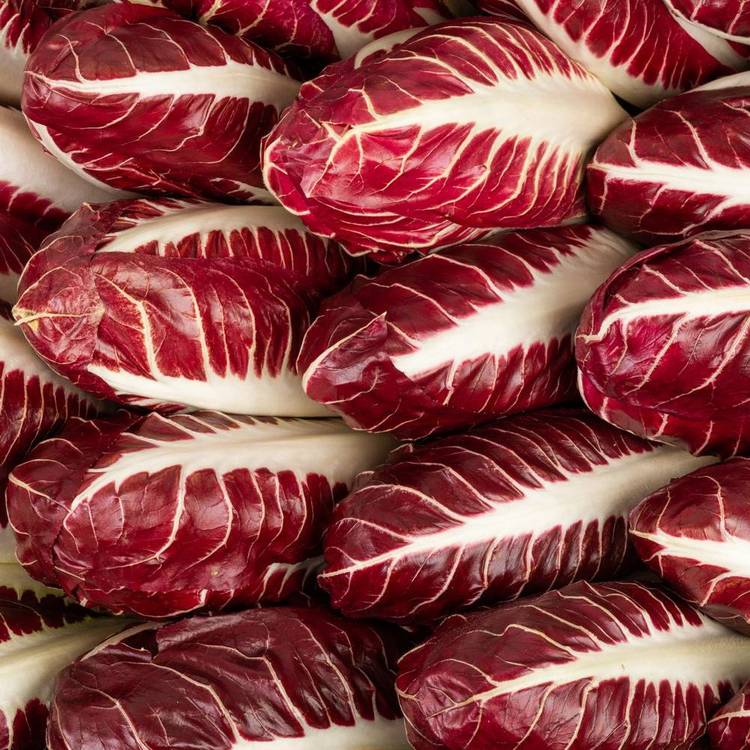 La Salade trevisana
