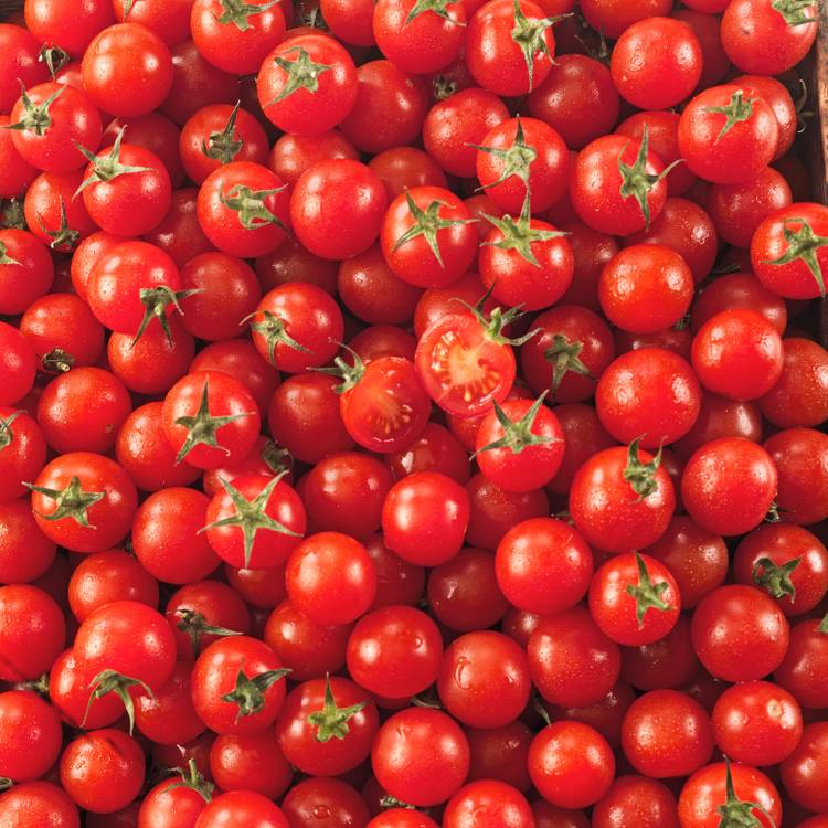 La Tomate cerise rouge