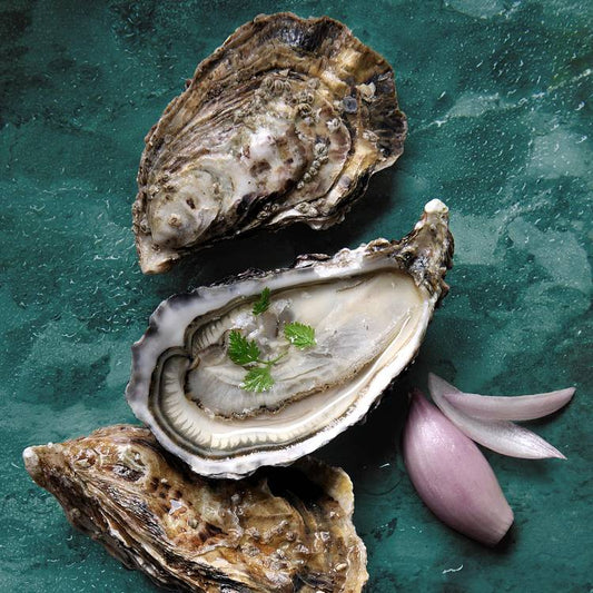Les 10 Huîtres à cuisiner Spéciales n°1