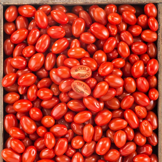 La Tomate cerise rouge allongée BIO