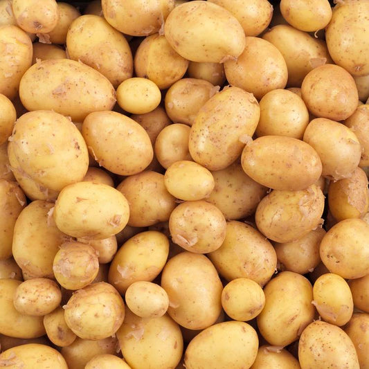 La Pomme de terre grenaille BIO