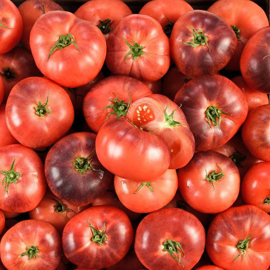 La Tomate cotelée bleue BIO