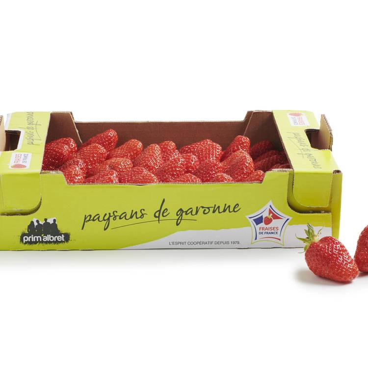 La Fraise gariguette "sélection"