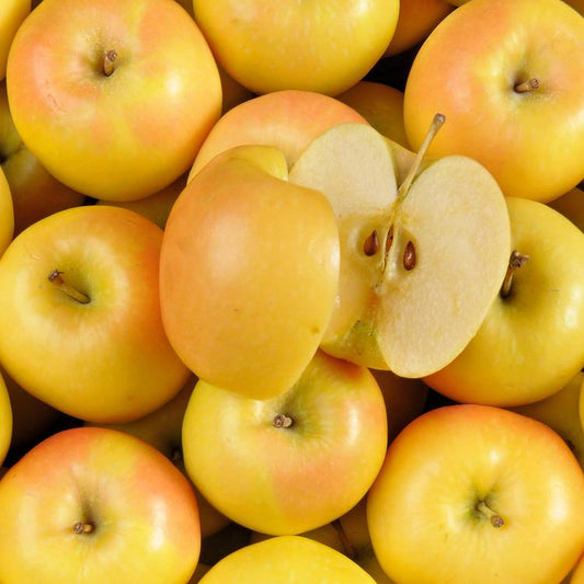 La Pomme rubis gold HVE