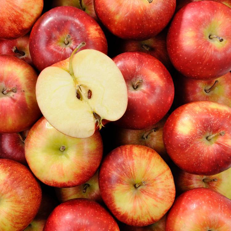 La Pomme Jonagored