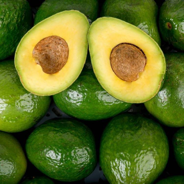L'Avocat BIO
