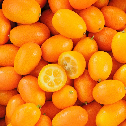 Le Kumquat