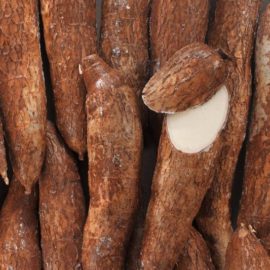 Le Manioc