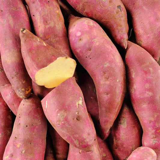 La Patate douce à chair blanche