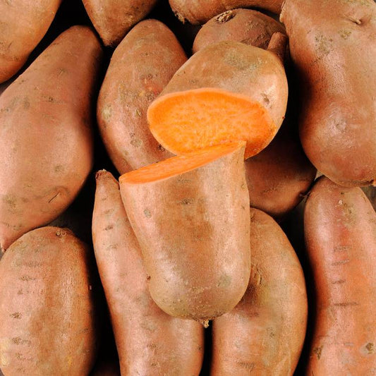 La Patate douce à chair orange