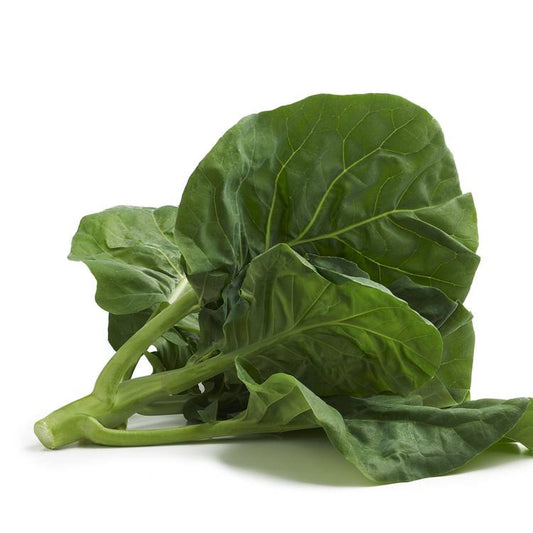 Le Kai-lan (Brocoli chinois)