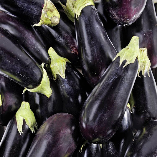 L'Aubergine noire en filet