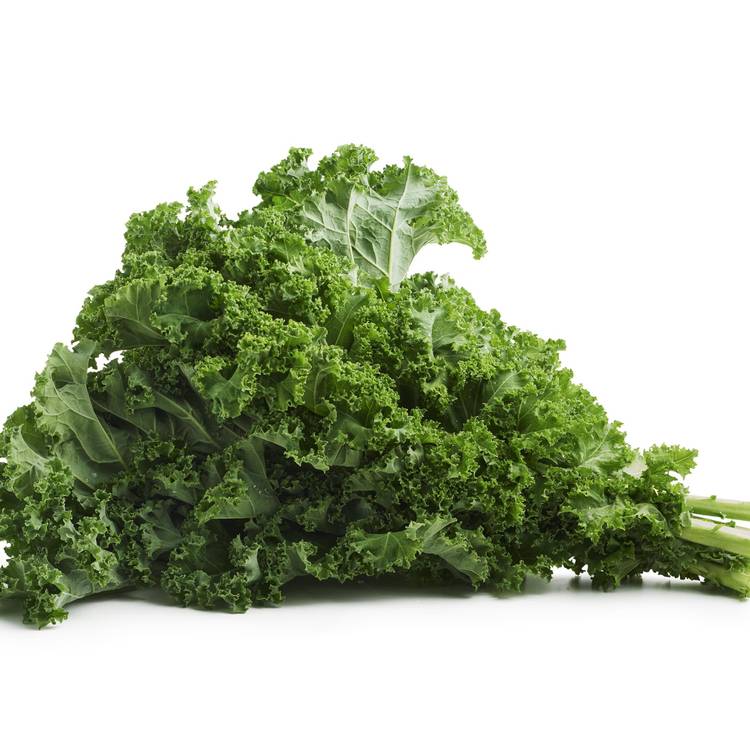 Le Chou kale HVE