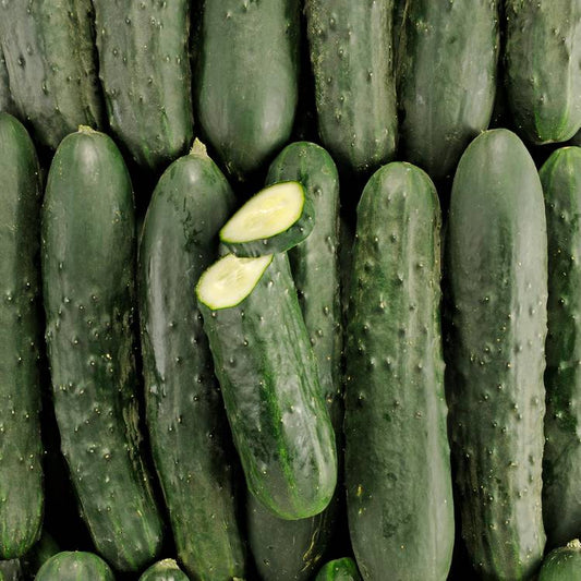 Le Concombre noa BIO