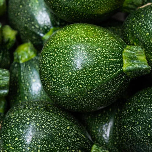 La Courgette ronde BIO