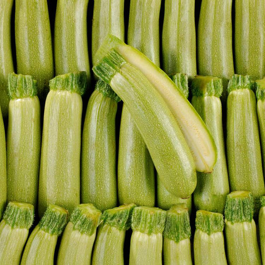 La Courgette blanche HVE