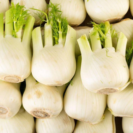 Le Fenouil BIO