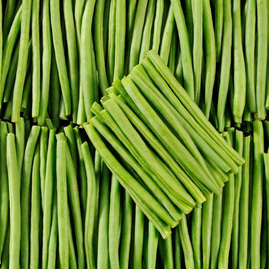 Le Haricot vert très fin