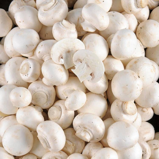Le Champignon en colis