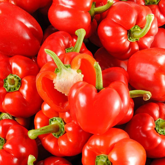 Le Poivron rouge