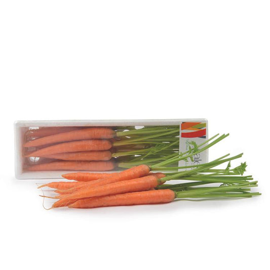 La Mini-carotte pour art culinaire