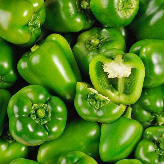 Le Poivron vert BIO