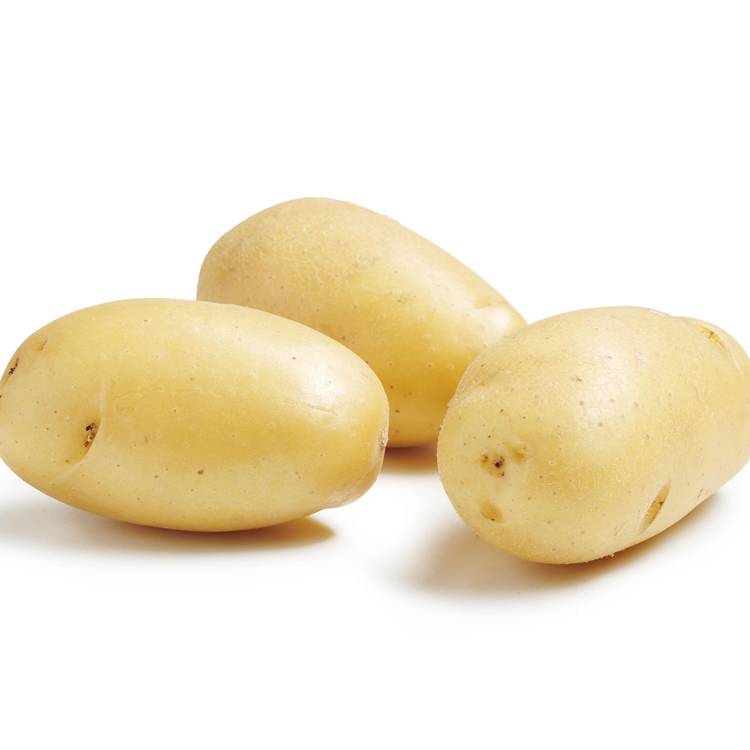 La Pomme de terre BIO
