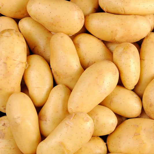 La Pomme de terre BIO