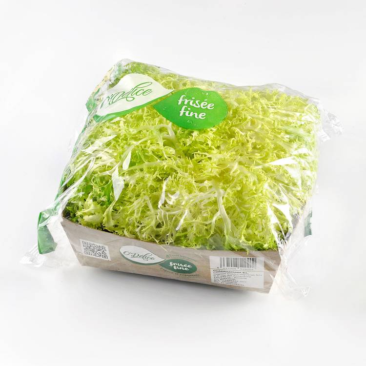 La Salade frisée fine (petit calibre)