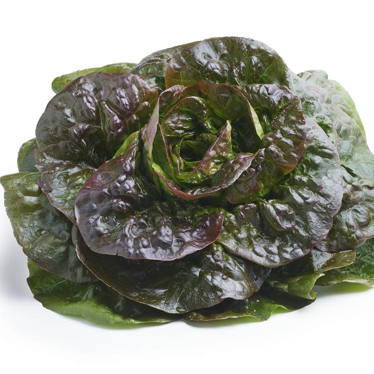 La Salade rougette