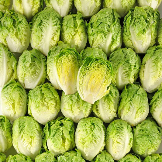 Les Têtes de salade sucrine
