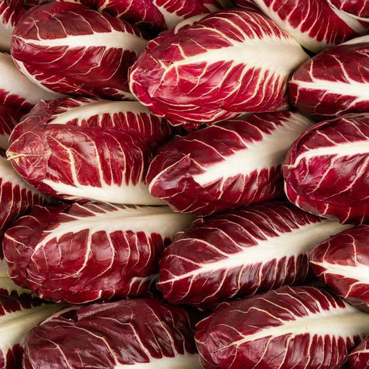 La Salade trevisana