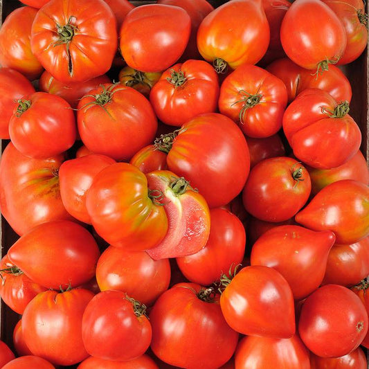 La Tomate cotelée rouge BIO