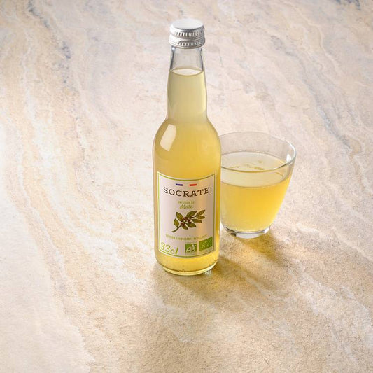 L'Infusion pétillante de maté citron agrumes BIO